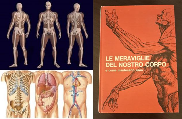 LE MERAVIGLIE DEL NOSTRO CORPO, SELEZIONE DAL READER'S DIGEST-MILANO MCMLXXII.