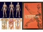 LE MERAVIGLIE DEL NOSTRO CORPO, SELEZIONE DAL READER'S DIGEST-MILANO MCMLXXII.