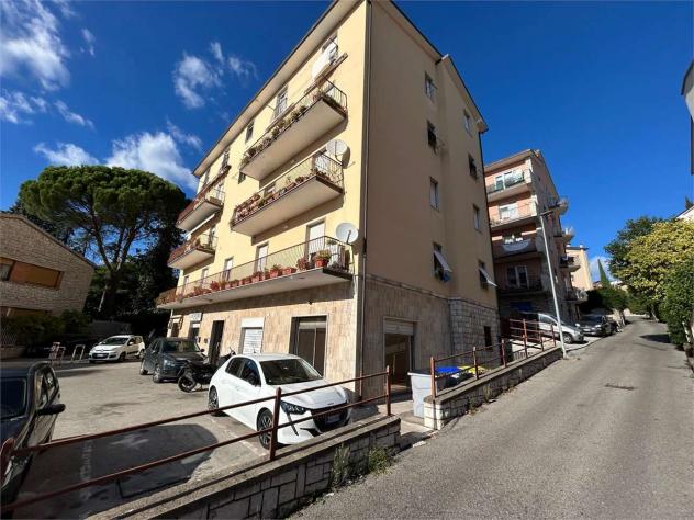 C2915SP - Negozio con magazzino in zona Pallotta