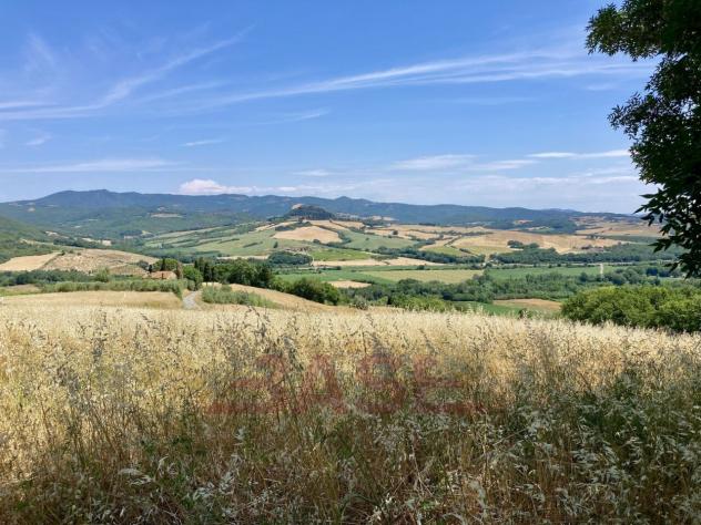 Casale in vendita a Montescudaio - Foto 18