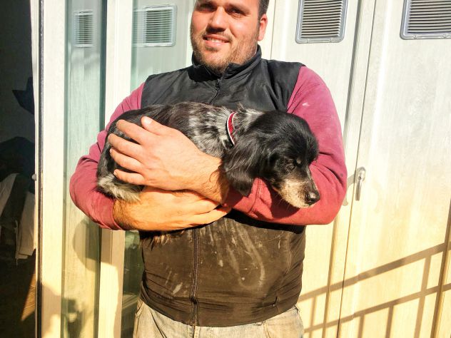 CARLOTTA, bretoncina mignon - Foto 3