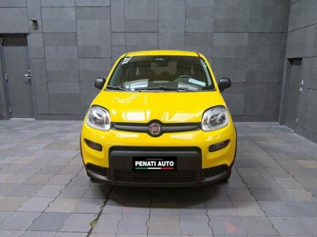 FIAT Pandina Pandina 1.0 firefly hybrid Pop 65cv - Foto 4