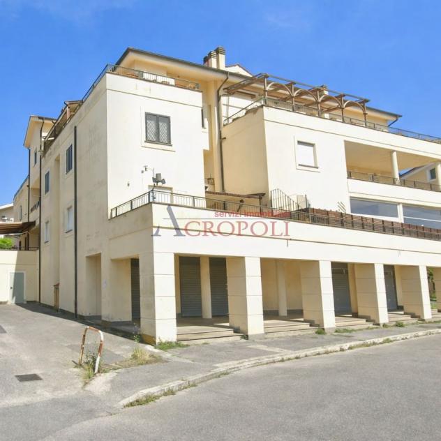 Attico 5 locali - Rif. 2679 - Foto 2