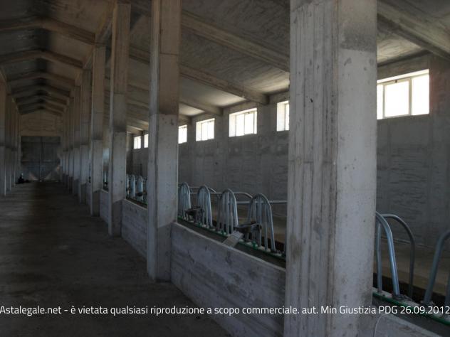 R.G.E. 18/2009 Enna (ex Nicosia) - Foto 19
