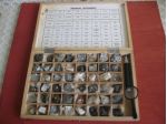 GEOLOGY SPECIMEN 48 minerali in cassetta legno 27x17x3