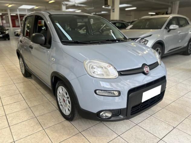 FIAT Panda 1.0 FireFly S&S Hybrid rif. 23920458