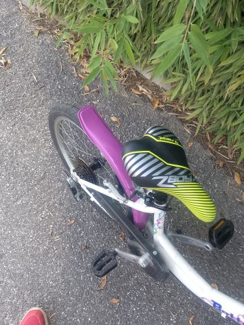 Bici Bimba Bottecchia ruota 20 - Foto 6