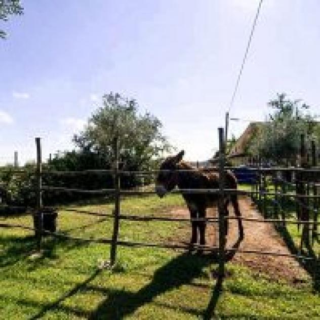 Le Case al Quadrato di Scata' Stefania - Foto 3