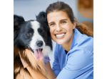 Corso Assistente Veterinario con Stage Garantito a Vicenza