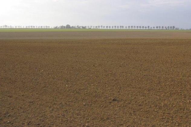 Attività / Licenza in vendita a Carpi - Foto 2