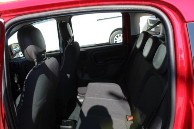 FIAT Panda 1.0 FireFly S&S Hybrid Icon-KM0 rif. 23763922 - Foto 5