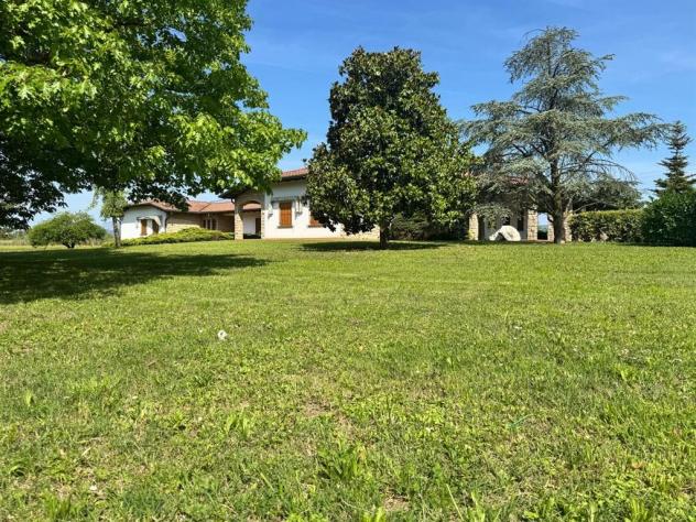 Villa singola di mq. 500 com parco privato di mq. 5.000 - Foto 7