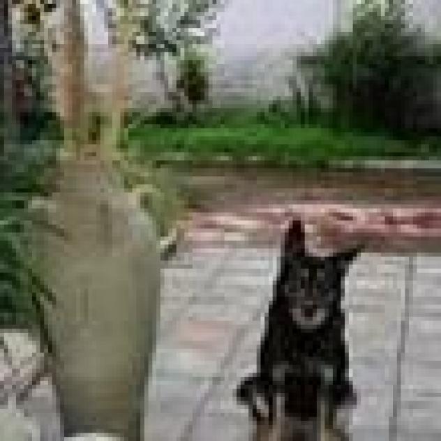 A Casetta Mia - Foto 4