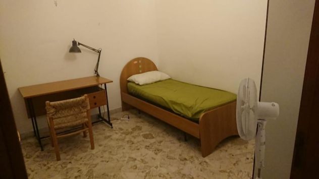 Vicinanze campus e stazione