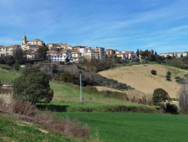 Immobile in asta di 12394 m² in vendita a Monte San Giusto - Foto 4
