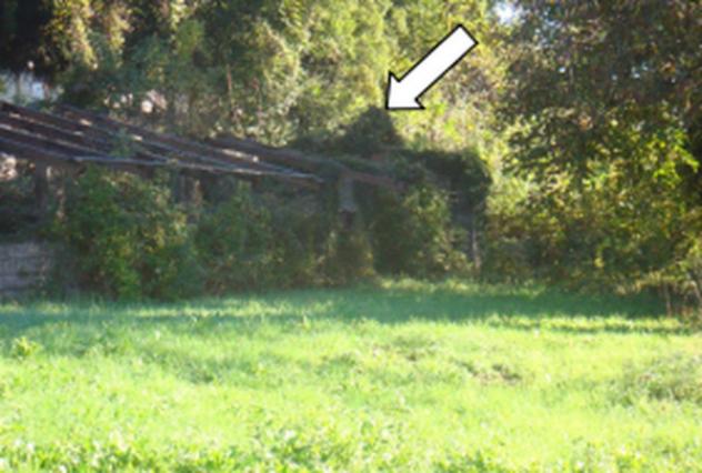Immobile in asta di 4 m² in vendita a Santorso - Foto 9