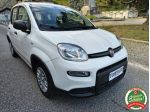 FIAT Panda 1.0 FireFly S&S Hybrid Pandina UN.PROP. rif. 24170165