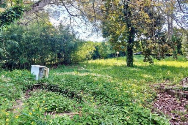 Immobile in asta di 190 m² con più di 5 locali in vendita a Nepi - Foto 6