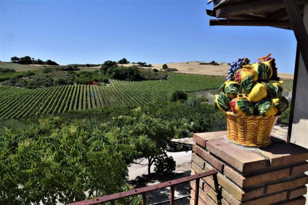 Terreno in vendita a Caltagirone - Foto 20