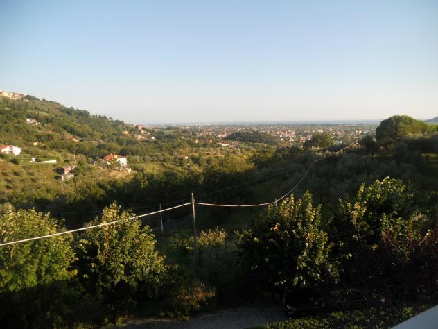Agricolo in vendita a Castelnuovo Magra - Foto 3