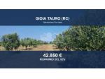 Immobile in asta di 24000 m² in vendita a Gioia Tauro
