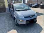 FIAT Panda 3ª serie Panda 1.0 FireFly S&S Hybrid