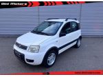 FIAT Panda 1.2 Climbing Natural Power METANO rif. 23301887