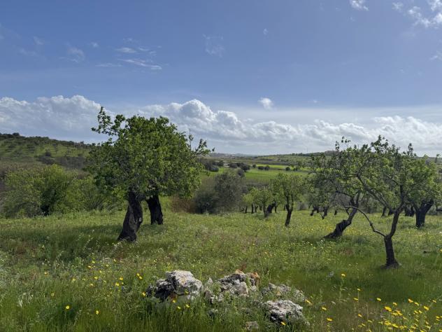 Terreno Agricolo - Noto . Rif.: Cod. rif 3321426VRG - Foto 4