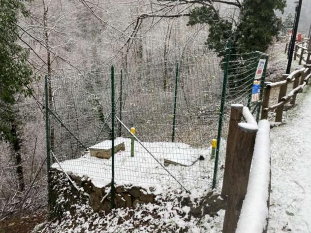 367/2023 3 BG - Terreni in asta a Taleggio - Foto 6