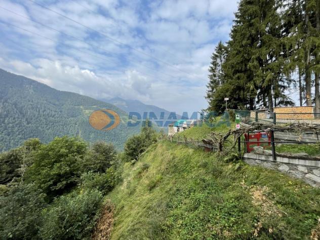 ALBAREDO PER SAN MARCO PROPONIAMO BAITA DI MONTAGNA - Foto 2