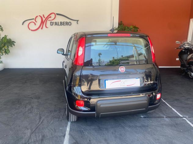 FIAT Panda 1.0 FireFly 70cv S&S Hybrid - Foto 6