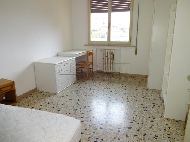 Stanza in appartamento in affitto a Siena