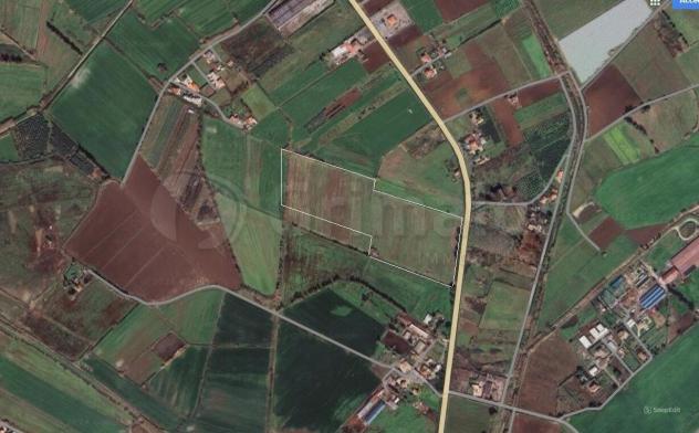 Vigneto in vendita a Cellole