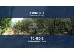 Immobile in asta di 5649 m² in vendita a Fonni