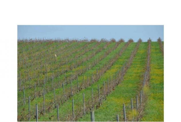 Immobile in asta di 23555 m² in vendita a Trapani - Foto 4