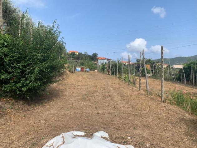 Terreno edificabile in vendita a Vado Ligure - Foto 3