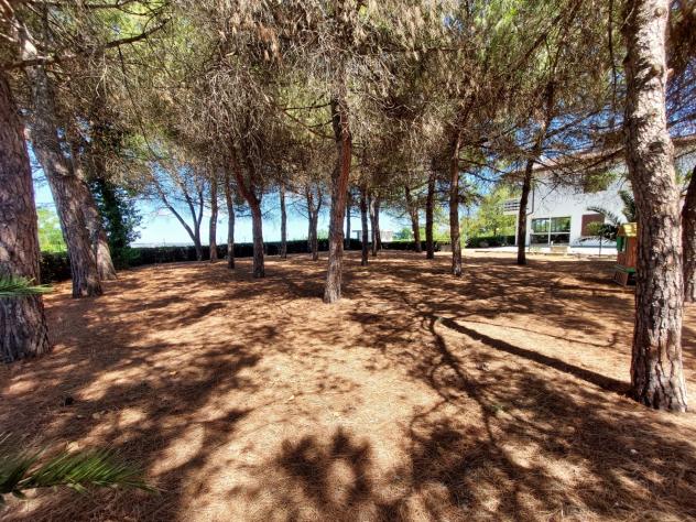 Villetta Trifamiliare - Colonnella . Rif.: cod. rif T385VRG - Foto 17