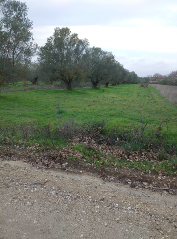 Vendita di terreno in strada Spiantacase, km 10 a Marta - Foto 2