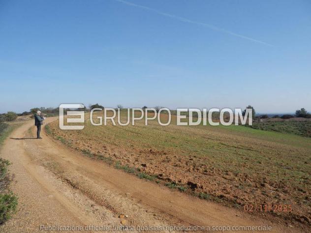 Terreno di 46370 mq in vendita a Montescaglioso - Rif. 4555042 - Foto 19