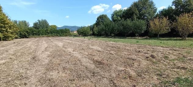 Terreno agricolo in vendita a Pontasserchio - San Giuliano Terme 3330 mq  Rif: 1195837