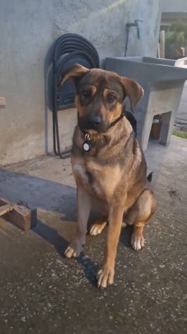 ROMEO 1 ANNO - Foto 3