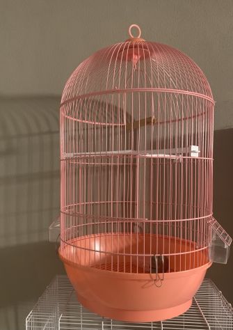 Gabbia uccelli - Foto 5