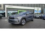 Škoda Kodiaq Kodiaq 1.5 mhev Executive 150cv dsg 7p.ti