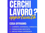 Collaboratore / trice