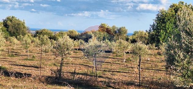 Terreno in vendita a Rosolini - Foto 6