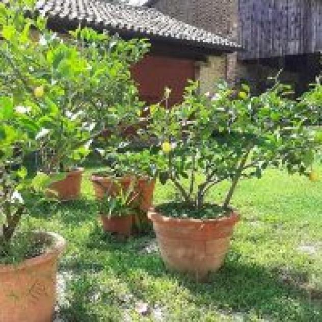 Casa Pagnano - Foto 2