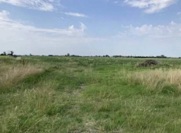 Immobile in asta di 49600 m² in vendita a Bondeno - Foto 2