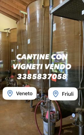 CANTINE CON VIGNETI DI PROSECCO DOC - Foto 7