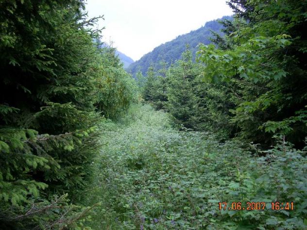 FONDO DI 101 ETTARI - Foto 3