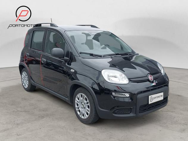 FIAT Panda 3ª serie 1.0 FireFly S&S Hybrid - Foto 7